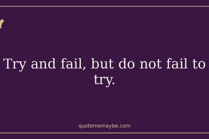 “Try and fail, but do not fail to try.”