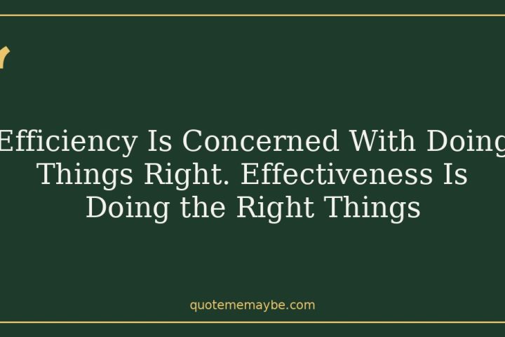Efficiency Is Concerned With Doing Things Right. Effectiveness Is Doing the Right Things