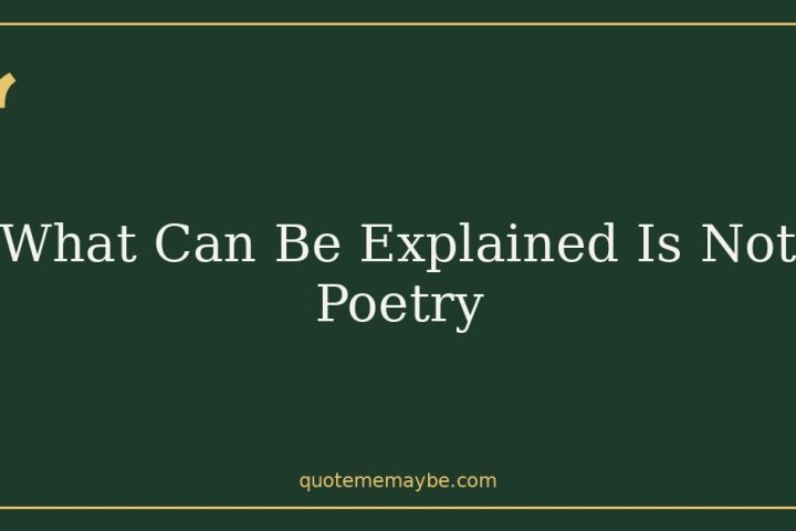 What Can Be Explained Is Not Poetry