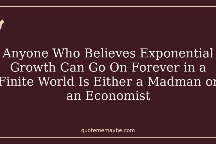 Anyone Who Believes Exponential Growth Can Go On Forever in a Finite World Is Either a Madman or an Economist