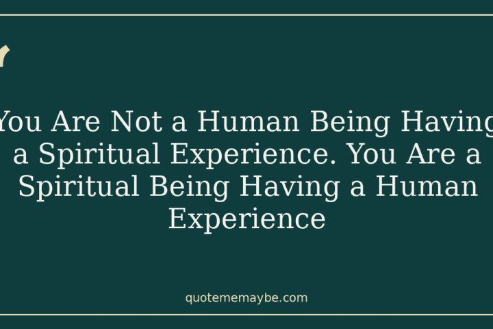 You Are Not a Human Being Having a Spiritual Experience. You Are a Spiritual Being Having a Human Experience