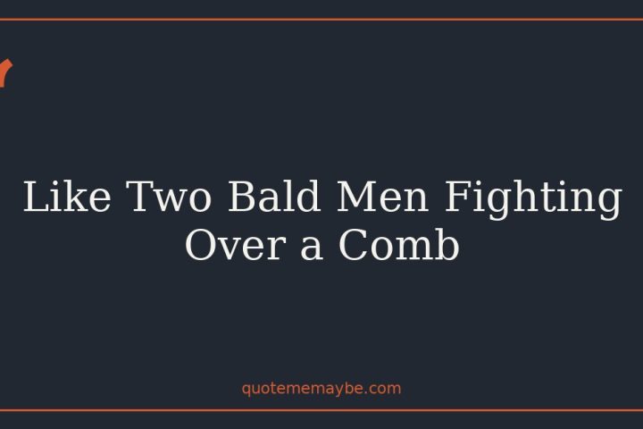 Like Two Bald Men Fighting Over a Comb