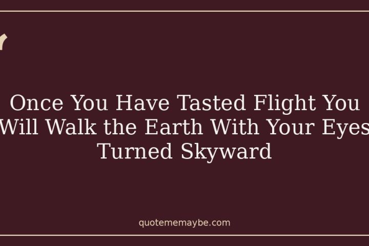 Once You Have Tasted Flight You Will Walk the Earth With Your Eyes Turned Skyward