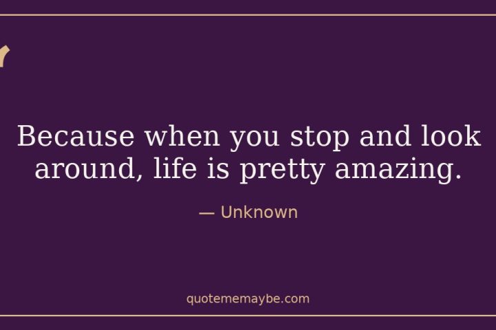 “Because when you stop and look around, life is pretty amazing.” – Unknown