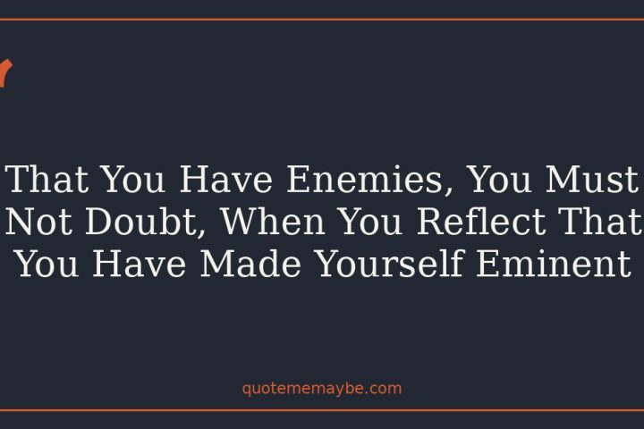 That You Have Enemies, You Must Not Doubt, When You Reflect That You Have Made Yourself Eminent
