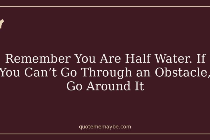 Remember You Are Half Water. If You Can’t Go Through an Obstacle, Go Around It