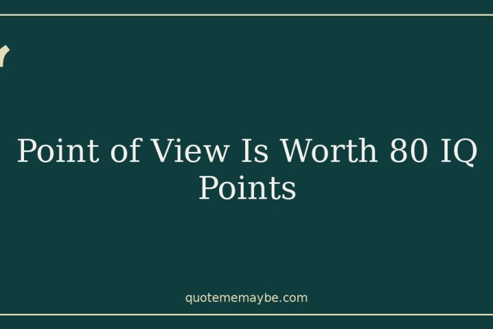 Point of View Is Worth 80 IQ Points