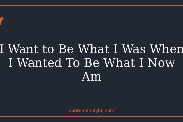I Want to Be What I Was When I Wanted To Be What I Now Am