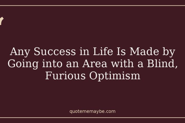 Any Success in Life Is Made by Going into an Area with a Blind, Furious Optimism