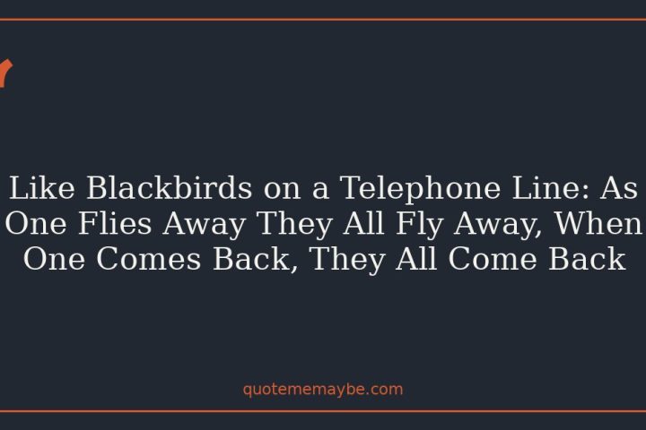 Like Blackbirds on a Telephone Line: As One Flies Away They All Fly Away, When One Comes Back, They All Come Back