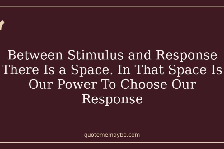 Between Stimulus and Response There Is a Space. In That Space Is Our Power To Choose Our Response