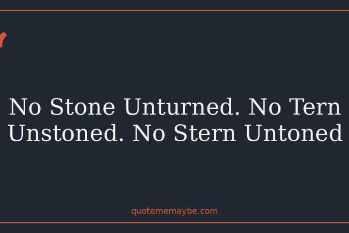 No Stone Unturned. No Tern Unstoned. No Stern Untoned
