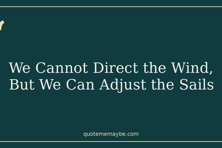 We Cannot Direct the Wind, But We Can Adjust the Sails