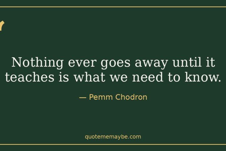 “Nothing ever goes away until it teaches is what we need to know.” – Pemm Chodron