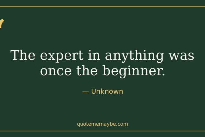 “The expert in anything was once the beginner.” – Unknown
