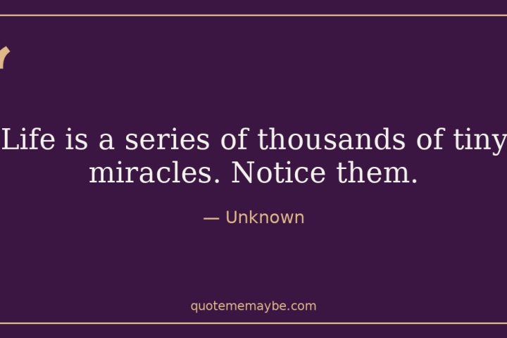 “Life is a series of thousands of tiny miracles. Notice them.” – Unknown