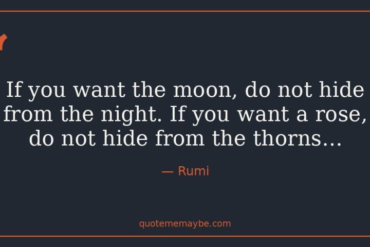 “If you want the moon, do not hide from the night. If you want a rose, do not hide from the thorns…” – Rumi