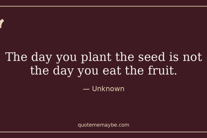 “The day you plant the seed is not the day you eat the fruit.” – Unknown