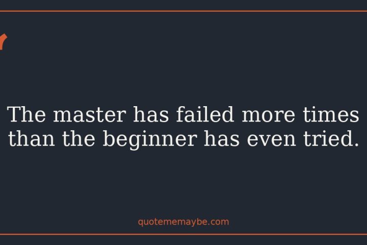 The master has failed more times than the beginner has even tried.