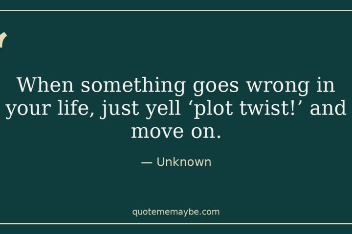 “When something goes wrong in your life, just yell ‘plot twist!’ and move on.” – Unknown