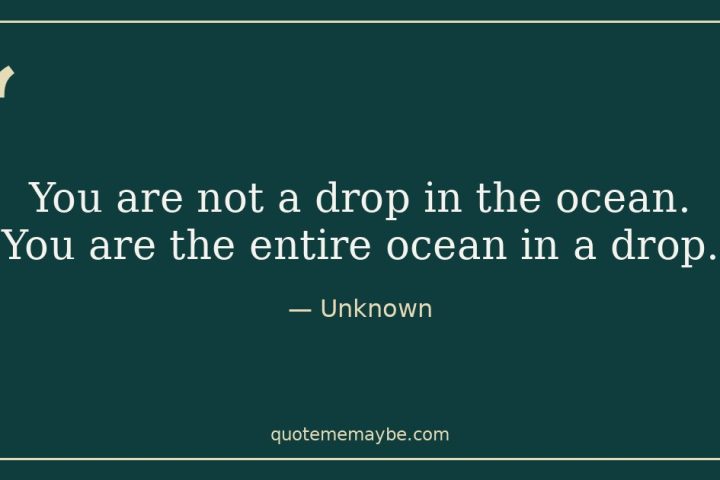 “You are not a drop in the ocean. You are the entire ocean in a drop.” – Unknown