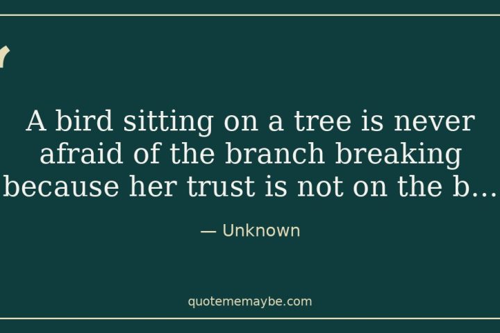 “A bird sitting on a tree is never afraid of the branch breaking because her trust is not on the b…” – Unknown