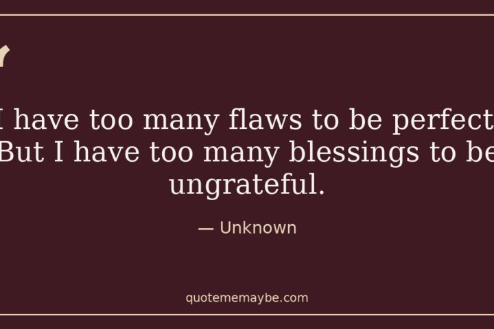 “I have too many flaws to be perfect. But I have too many blessings to be ungrateful.” – Unknown