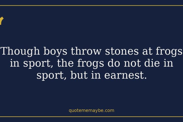“Though boys throw stones at frogs in sport, the frogs do not die in sport, but in earnest.”