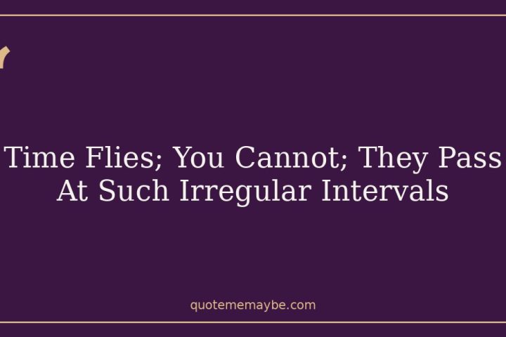 Time Flies; You Cannot; They Pass At Such Irregular Intervals