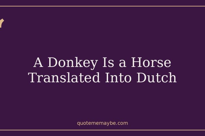 A Donkey Is a Horse Translated Into Dutch
