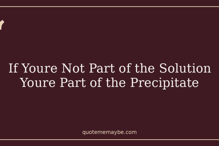 If Youre Not Part of the Solution Youre Part of the Precipitate