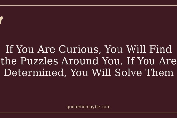 If You Are Curious, You Will Find the Puzzles Around You. If You Are Determined, You Will Solve Them