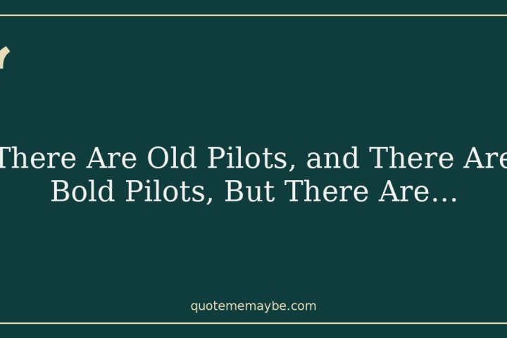There Are Old Pilots, and There Are Bold Pilots, But There Are…