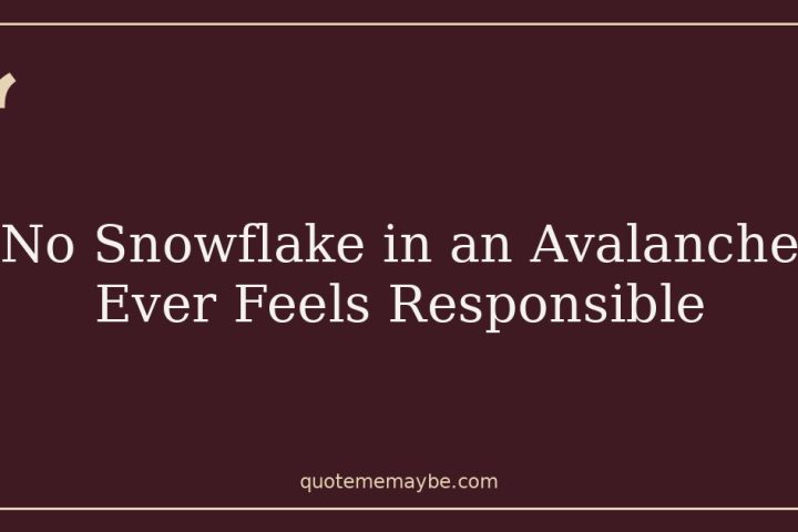 No Snowflake in an Avalanche Ever Feels Responsible