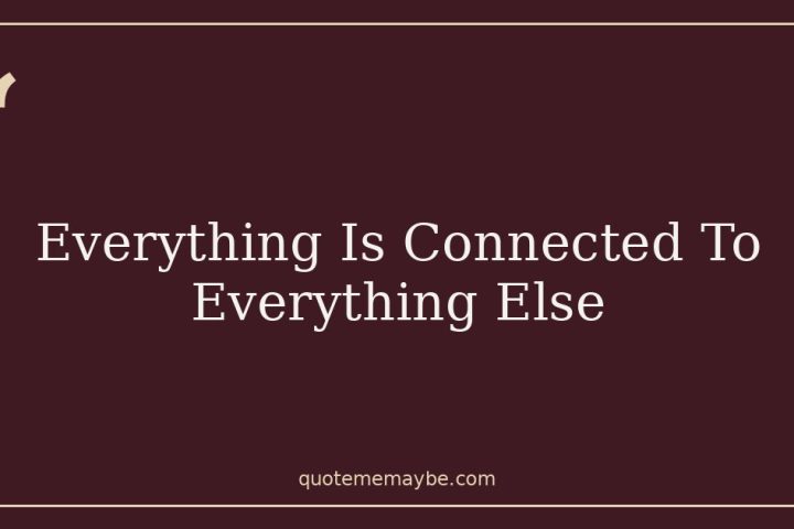 Everything Is Connected To Everything Else